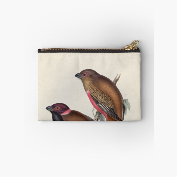 Item preview, A monograph of the Trogonidae or family of trogons John Gould 1838 V1 to V3 0048 Trogon Diardii Diard's Trogon designed and sold by WetdryvacRB01.