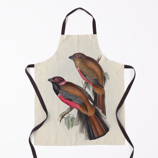 Item preview, A monograph of the Trogonidae or family of trogons John Gould 1838 V1 to V3 0048 Trogon Diardii Diard's Trogon designed and sold by WetdryvacRB01.