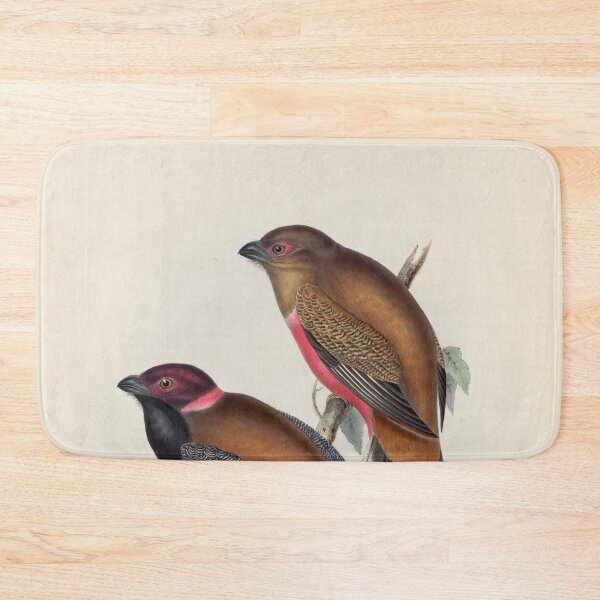Item preview, A monograph of the Trogonidae or family of trogons John Gould 1838 V1 to V3 0048 Trogon Diardii Diard's Trogon designed and sold by WetdryvacRB01.