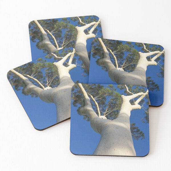 Item preview, Ghost Gum Tree at Lake Weeroona - Bendigo, Victoria, Australia designed and sold by Steven Jodoin.