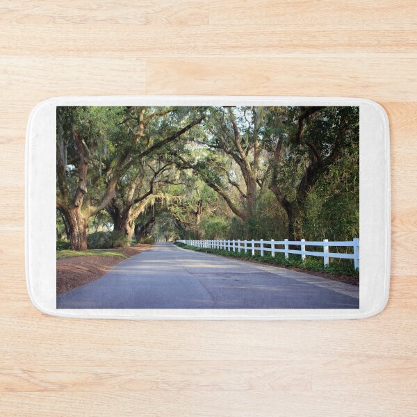 Item preview, Old South Live Oaks designed and sold by Cynthia48.
