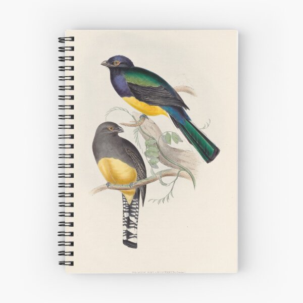 Item preview, A monograph of the Trogonidae or family of trogons John Gould 1838 V1 to V3 0050 Trogon Melanopterus Black Winged Trogon designed and sold by WetdryvacRB01.
