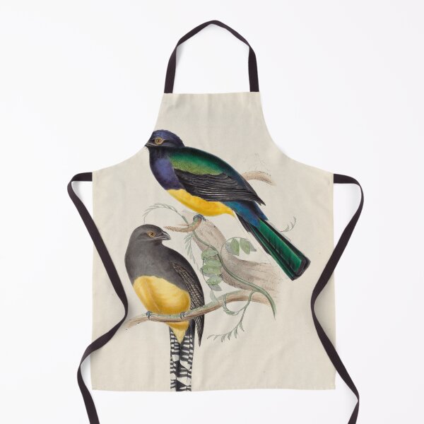 Item preview, A monograph of the Trogonidae or family of trogons John Gould 1838 V1 to V3 0050 Trogon Melanopterus Black Winged Trogon designed and sold by WetdryvacRB01.