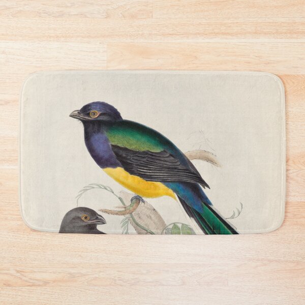 Item preview, A monograph of the Trogonidae or family of trogons John Gould 1838 V1 to V3 0050 Trogon Melanopterus Black Winged Trogon designed and sold by WetdryvacRB01.