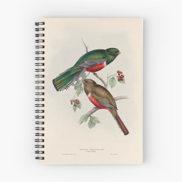 Item preview, A monograph of the Trogonidae or family of trogons John Gould 1838 V1 to V3 0052 Trogon Collaris Collared Trogon designed and sold by WetdryvacRB01.