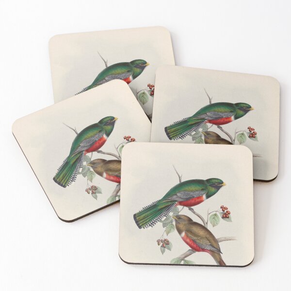Item preview, A monograph of the Trogonidae or family of trogons John Gould 1838 V1 to V3 0052 Trogon Collaris Collared Trogon designed and sold by WetdryvacRB01.