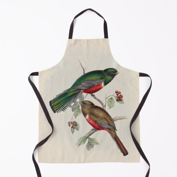 Item preview, A monograph of the Trogonidae or family of trogons John Gould 1838 V1 to V3 0052 Trogon Collaris Collared Trogon designed and sold by WetdryvacRB01.