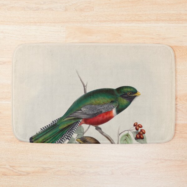 Item preview, A monograph of the Trogonidae or family of trogons John Gould 1838 V1 to V3 0052 Trogon Collaris Collared Trogon designed and sold by WetdryvacRB01.