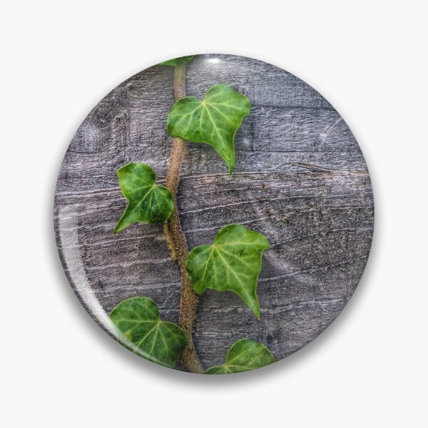 Item preview, Ivy on Wood Wallpaper designed and sold by gphotobox.