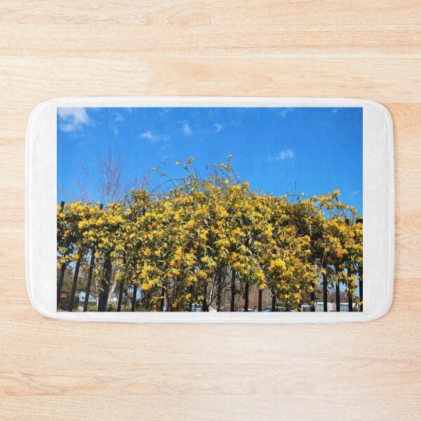 Item preview, Cat's Claw Vine Over Fence designed and sold by Cynthia48.