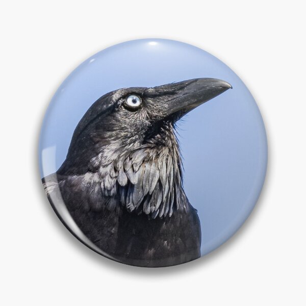 Artikelvorschau, Australischer Rabe (Corvus coronoides) entworfen und verkauft von Glenn-Smith.