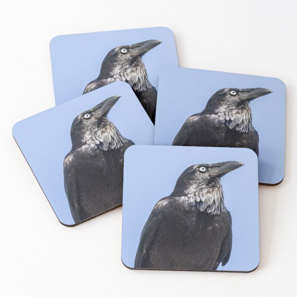 Item preview, Australian Raven, (Corvus coronoides) designed and sold by Glenn-Smith.