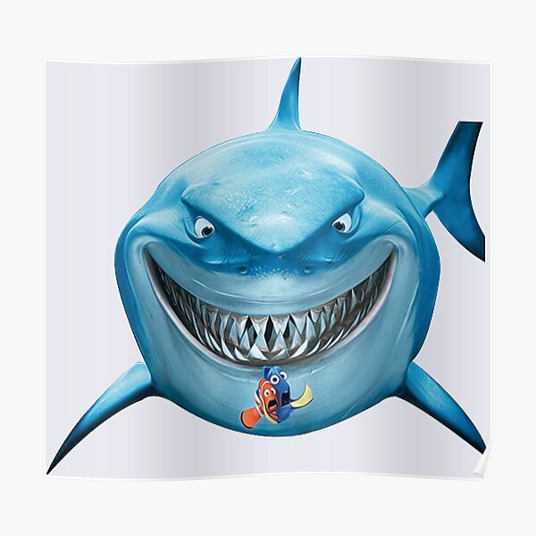 ANGEL SHARK,BASKING SHARK,BLACKTIP SHARK,BLUE SHARK,BULL SHARK,GOBLIN SHARK,GREAT WHITE SHARK,MAKO SHARK,SANDTIGER SHARK,TIGER SHARK,WHALE SHARK,WHITE TIP REEF SHARK,ZEBRA SHARK,WOBBEGONG SHARK Poster