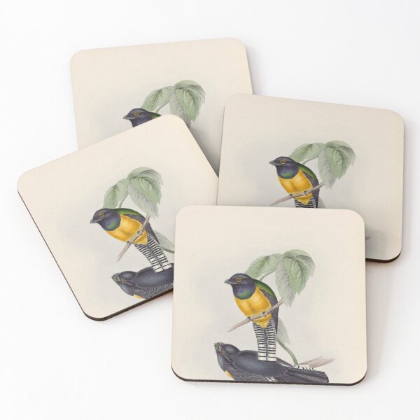 Item preview, A monograph of the Trogonidae or family of trogons John Gould 1838 V1 to V3 0054 Little Trogon Trogon Meridionalis designed and sold by WetdryvacRB01.