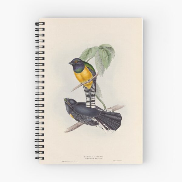 Item preview, A monograph of the Trogonidae or family of trogons John Gould 1838 V1 to V3 0054 Little Trogon Trogon Meridionalis designed and sold by WetdryvacRB01.