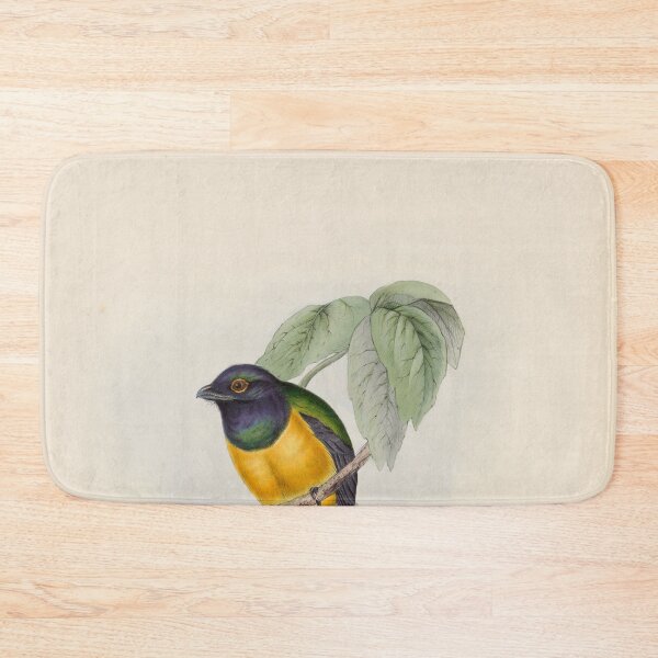 Item preview, A monograph of the Trogonidae or family of trogons John Gould 1838 V1 to V3 0054 Little Trogon Trogon Meridionalis designed and sold by WetdryvacRB01.