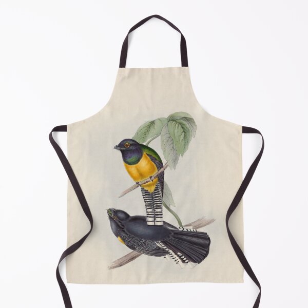 Item preview, A monograph of the Trogonidae or family of trogons John Gould 1838 V1 to V3 0054 Little Trogon Trogon Meridionalis designed and sold by WetdryvacRB01.