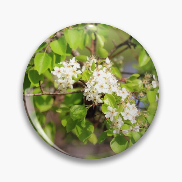 Item preview, White Spring Blossoms designed and sold by Cynthia48.