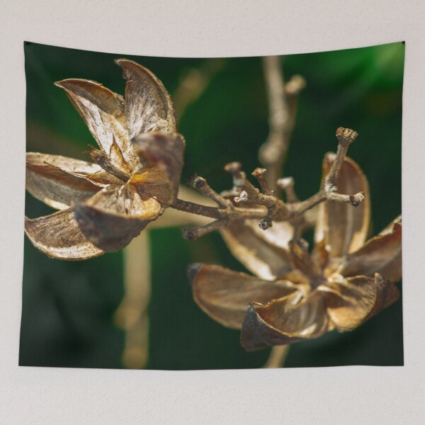 Item preview, Floral designed and sold by pdesveaux.