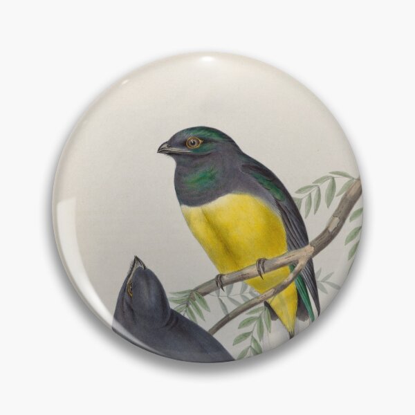 Item preview, A monograph of the Trogonidae or family of trogons John Gould 1838 V1 to V3 0082 Trogon Citroeolus Lemon Breasted Trogon designed and sold by WetdryvacRB01.
