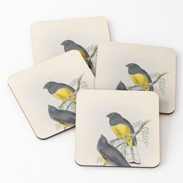 Item preview, A monograph of the Trogonidae or family of trogons John Gould 1838 V1 to V3 0082 Trogon Citroeolus Lemon Breasted Trogon designed and sold by WetdryvacRB01.