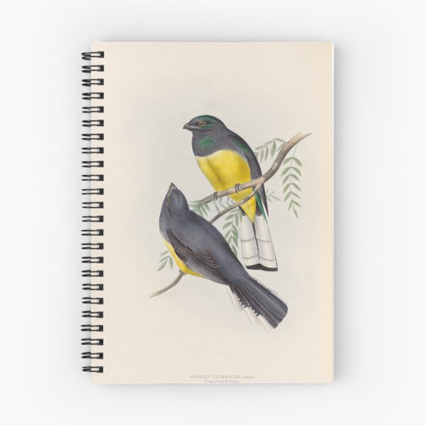 Item preview, A monograph of the Trogonidae or family of trogons John Gould 1838 V1 to V3 0082 Trogon Citroeolus Lemon Breasted Trogon designed and sold by WetdryvacRB01.