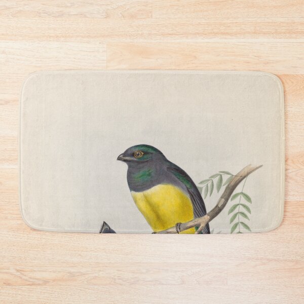 Item preview, A monograph of the Trogonidae or family of trogons John Gould 1838 V1 to V3 0082 Trogon Citroeolus Lemon Breasted Trogon designed and sold by WetdryvacRB01.