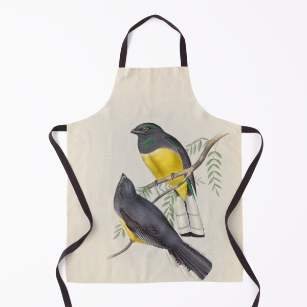 Item preview, A monograph of the Trogonidae or family of trogons John Gould 1838 V1 to V3 0082 Trogon Citroeolus Lemon Breasted Trogon designed and sold by WetdryvacRB01.