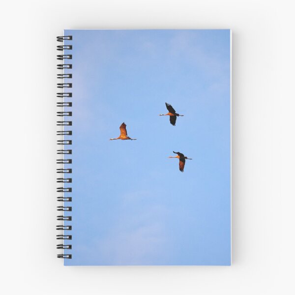 Item preview, In the red light. Evening of the cranes designed and sold by Jouko Lehto Photography.