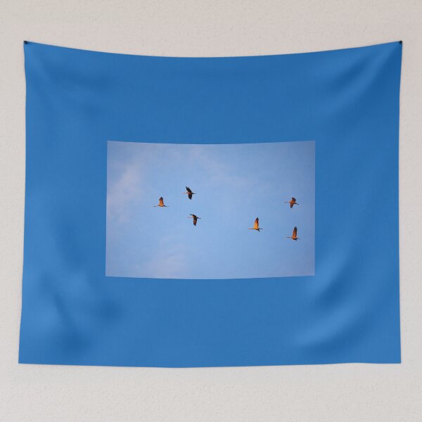 Item preview, In the red light. Evening of the cranes designed and sold by Jouko Lehto Photography.