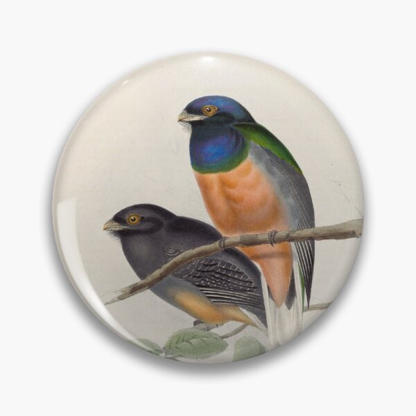 Item preview, A monograph of the Trogonidae or family of trogons John Gould 1838 V1 to V3 0084 Trogon Aurantius Orange Breasted Trogon designed and sold by WetdryvacRB01.