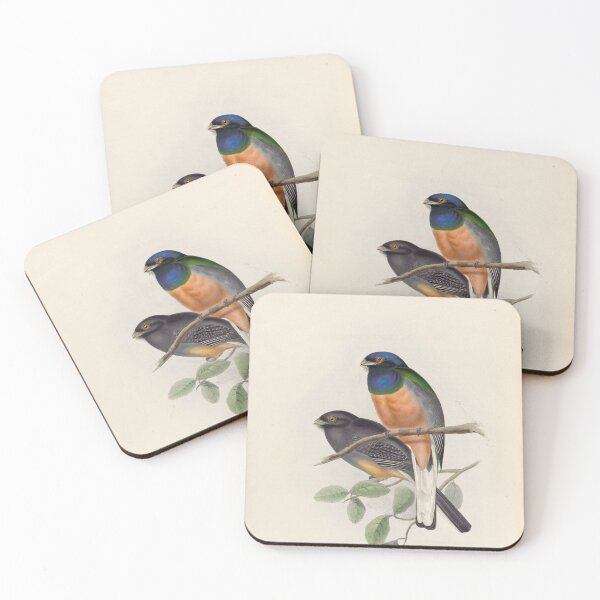 Item preview, A monograph of the Trogonidae or family of trogons John Gould 1838 V1 to V3 0084 Trogon Aurantius Orange Breasted Trogon designed and sold by WetdryvacRB01.