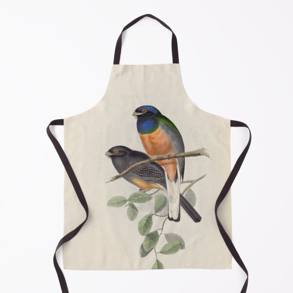 Item preview, A monograph of the Trogonidae or family of trogons John Gould 1838 V1 to V3 0084 Trogon Aurantius Orange Breasted Trogon designed and sold by WetdryvacRB01.