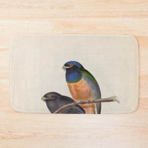 Item preview, A monograph of the Trogonidae or family of trogons John Gould 1838 V1 to V3 0084 Trogon Aurantius Orange Breasted Trogon designed and sold by WetdryvacRB01.
