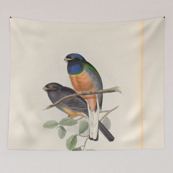 Item preview, A monograph of the Trogonidae or family of trogons John Gould 1838 V1 to V3 0084 Trogon Aurantius Orange Breasted Trogon designed and sold by WetdryvacRB01.