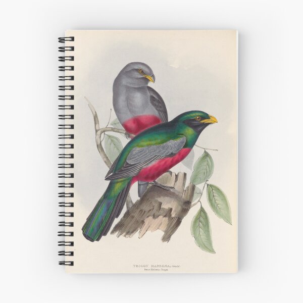Item preview, A monograph of the Trogonidae or family of trogons John Gould 1838 V1 to V3 0086 Trogon Massena Prince Massena's Trogon designed and sold by WetdryvacRB01.