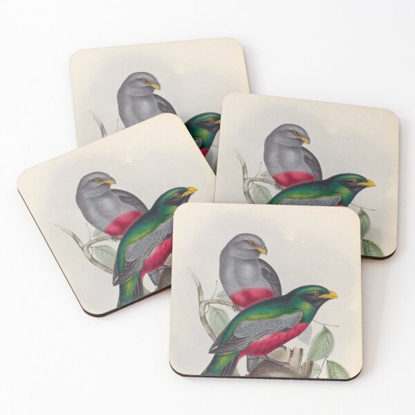 Item preview, A monograph of the Trogonidae or family of trogons John Gould 1838 V1 to V3 0086 Trogon Massena Prince Massena's Trogon designed and sold by WetdryvacRB01.
