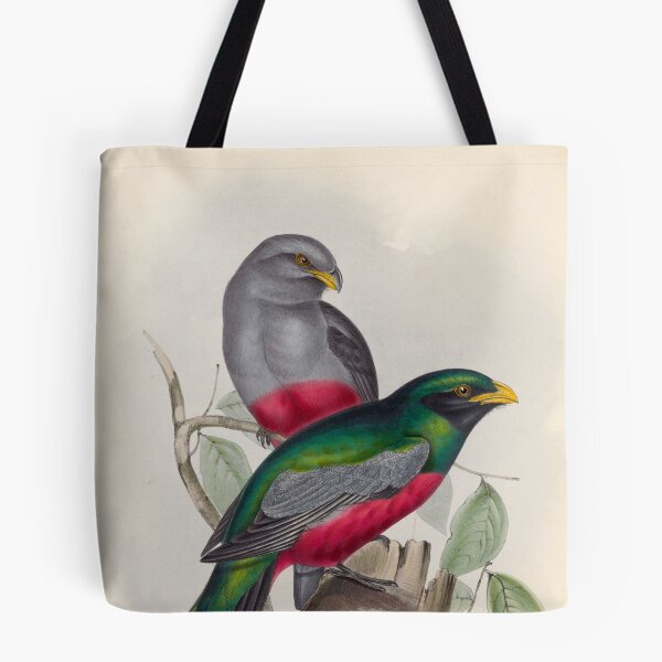Item preview, A monograph of the Trogonidae or family of trogons John Gould 1838 V1 to V3 0086 Trogon Massena Prince Massena's Trogon designed and sold by WetdryvacRB01.