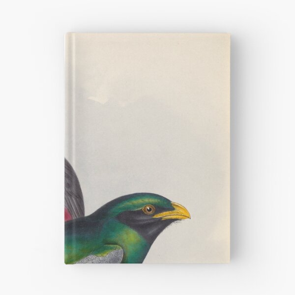 Item preview, A monograph of the Trogonidae or family of trogons John Gould 1838 V1 to V3 0086 Trogon Massena Prince Massena's Trogon designed and sold by WetdryvacRB01.