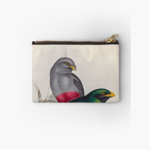Item preview, A monograph of the Trogonidae or family of trogons John Gould 1838 V1 to V3 0086 Trogon Massena Prince Massena's Trogon designed and sold by WetdryvacRB01.
