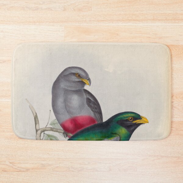 Item preview, A monograph of the Trogonidae or family of trogons John Gould 1838 V1 to V3 0086 Trogon Massena Prince Massena's Trogon designed and sold by WetdryvacRB01.