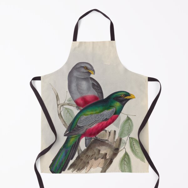 Item preview, A monograph of the Trogonidae or family of trogons John Gould 1838 V1 to V3 0086 Trogon Massena Prince Massena's Trogon designed and sold by WetdryvacRB01.