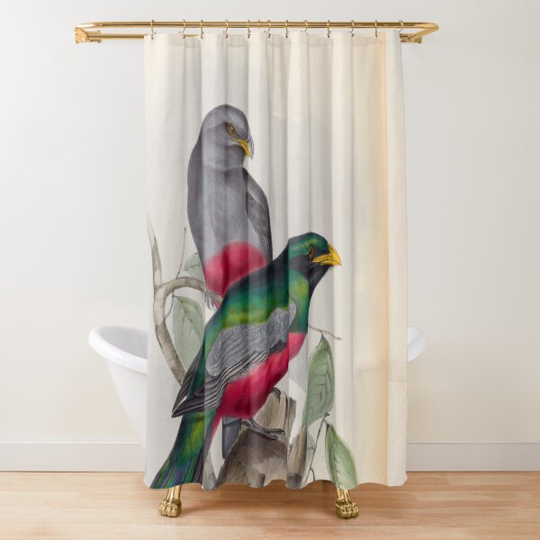 Item preview, A monograph of the Trogonidae or family of trogons John Gould 1838 V1 to V3 0086 Trogon Massena Prince Massena's Trogon designed and sold by WetdryvacRB01.