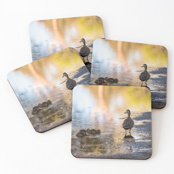 Item preview, Ducks in the water. designed and sold by Jan Fijolek.