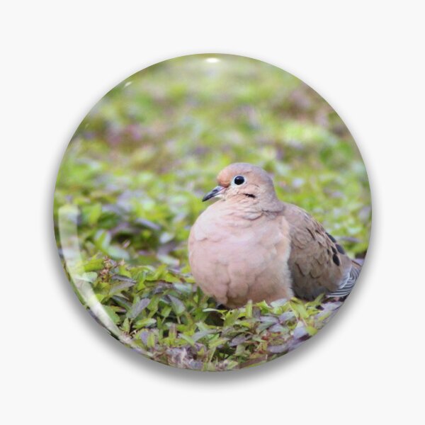 Item preview, Mourning Dove Resting designed and sold by Cynthia48.
