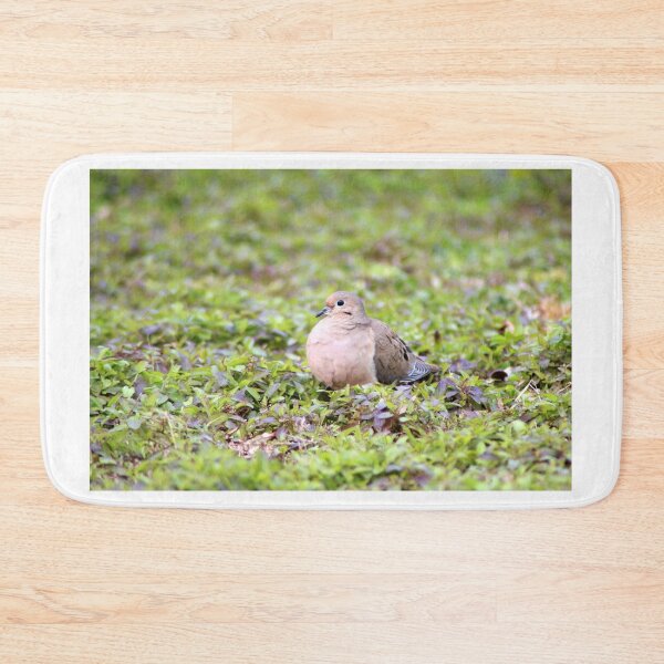 Item preview, Mourning Dove Resting designed and sold by Cynthia48.