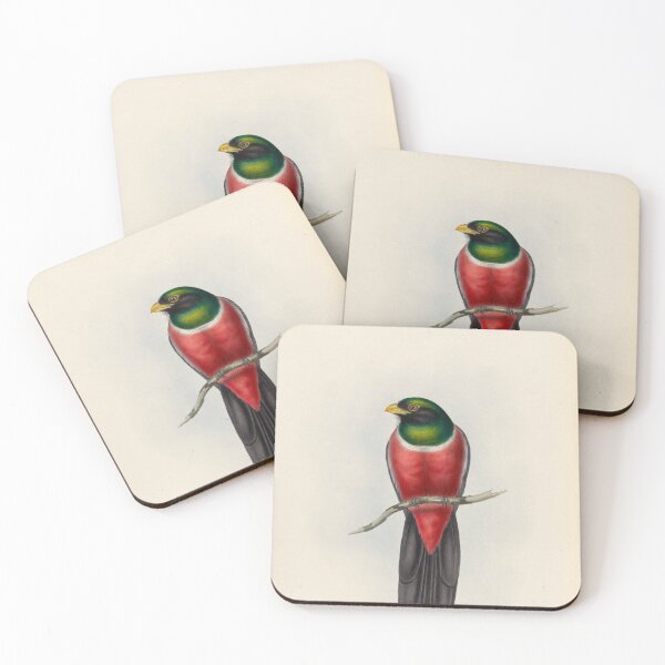 Item preview, A monograph of the Trogonidae or family of trogons John Gould 1838 V1 to V3 0088 Trogon Macroura Large Tailed Trogon designed and sold by WetdryvacRB01.