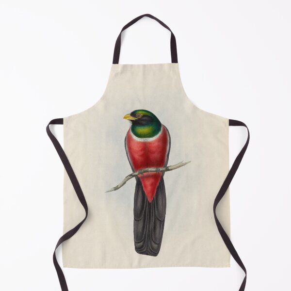 Item preview, A monograph of the Trogonidae or family of trogons John Gould 1838 V1 to V3 0088 Trogon Macroura Large Tailed Trogon designed and sold by WetdryvacRB01.