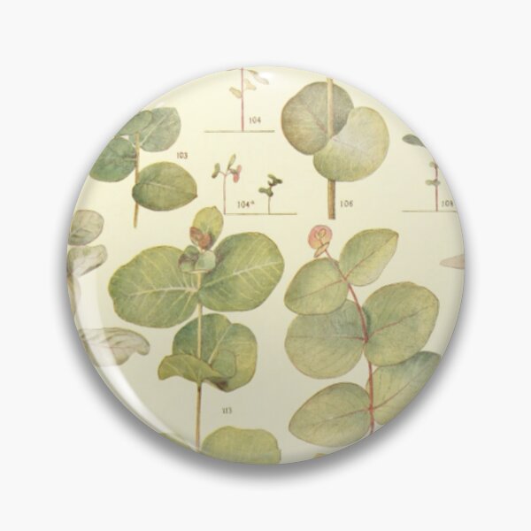 Item preview, Eucalyptus Chart designed and sold by BlueSpecsStudio.