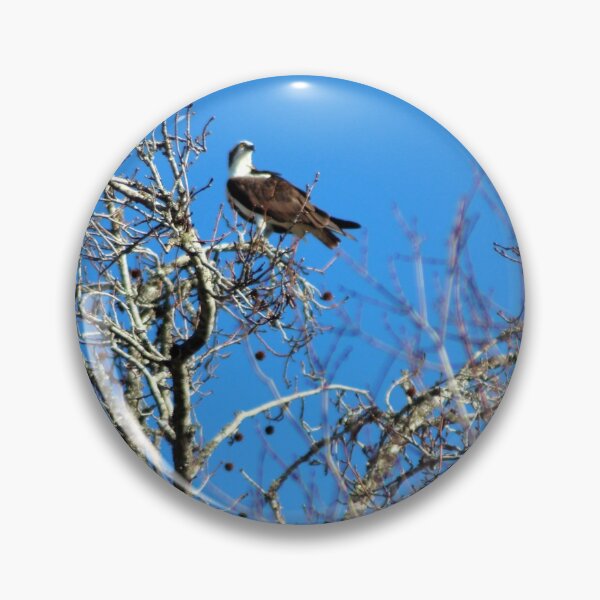 Item preview, Osprey Keeps Watch designed and sold by Cynthia48.